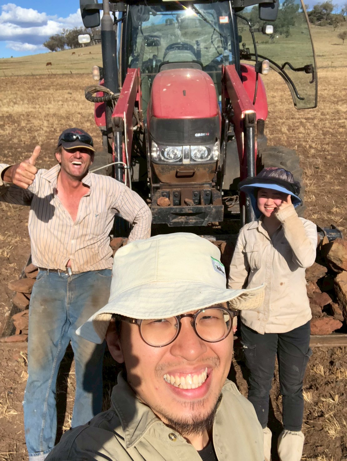 Working in cattle farm.